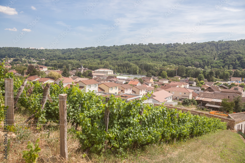 Panorama of Saint Savin, small French village of Isere, in the Dauphine province, with medieval catholic church & other historic building seen from the vineyards of the village