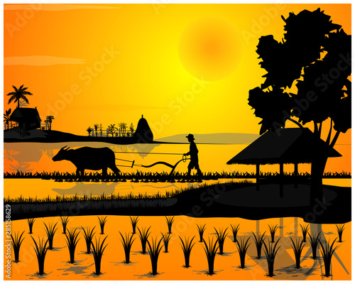 silhouette farmer work in paddy field vector design