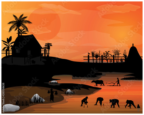 silhouette farmer work in paddy field vector design