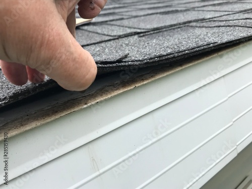 Roof Shingle Hail Damage