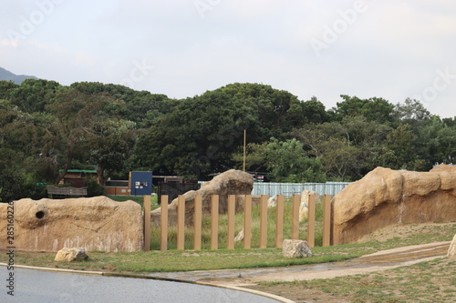 動物園の景色 photo