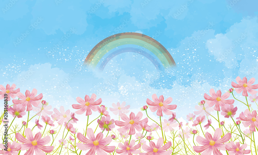 秋桜 秋 花 満開 花畑 空 水彩 背景 背景素材 虹 Stock ベクター Adobe Stock