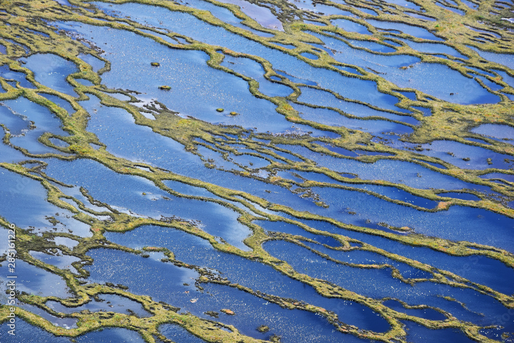 Sphagnum fields in the swamps of James Bay seen from the sky by helicopter (Quebec, Canada) Sphagnum fields in the swamps of James Bay seen from the sky by helicopter (Quebec, Canada)