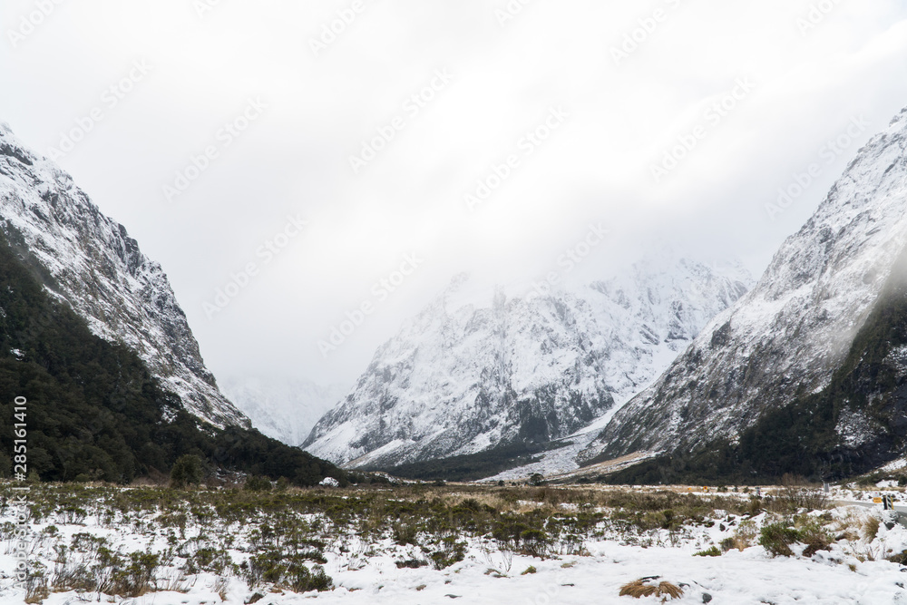 Fototapeta premium snow in the valley on the road to Milford Sound