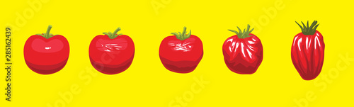 Tomato Fresh Rotten Sequence Set Cartoon Vector Illustration