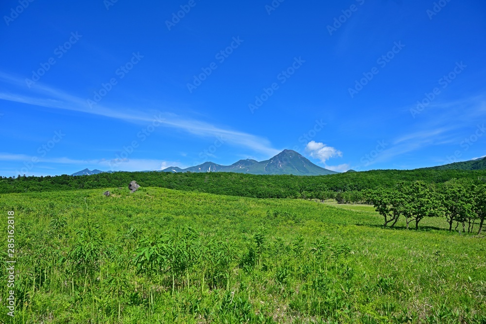 Fototapeta premium フレペの滝遊歩道から見る青空バックの知床連山の情景@知床、北海道