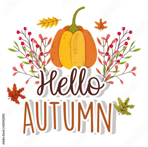 hello autumn season flat design