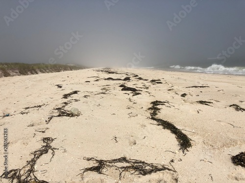 footprints in sand