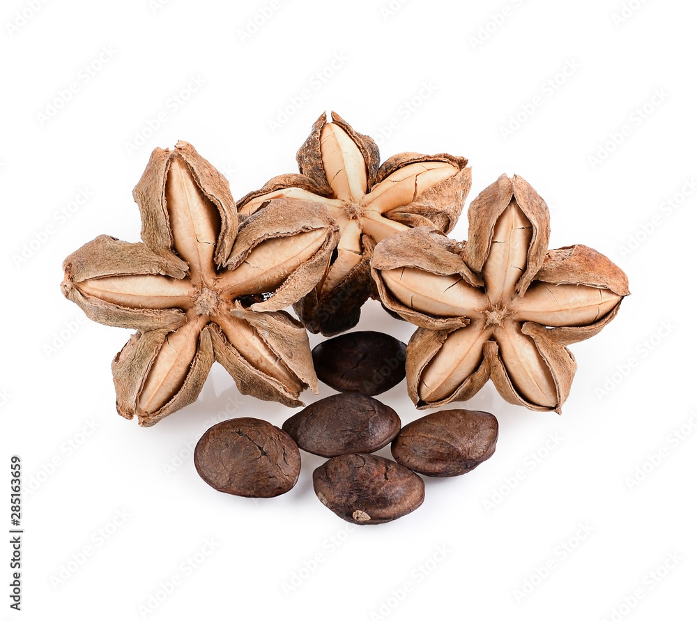 sacha inchi peanut seed on white background sacha inchi peanut seed on white background