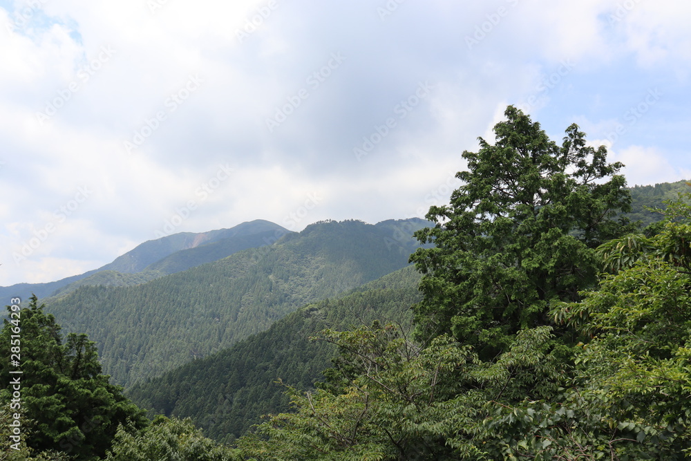 竜ヶ岳　風景