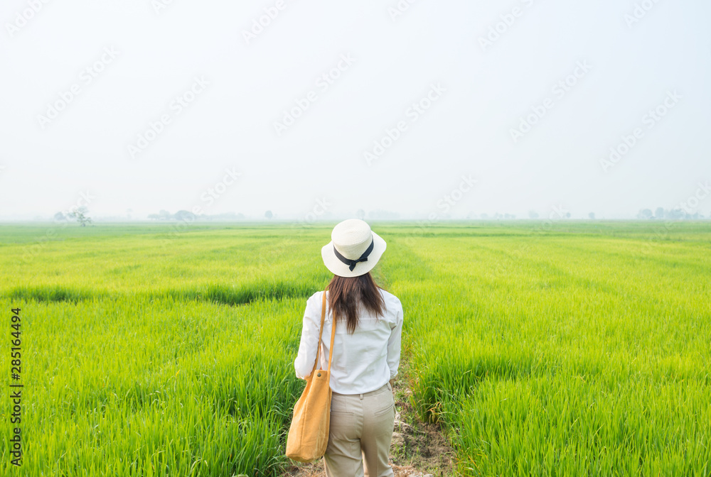 Woman tourist looking to the beautiful view of rice field green grass in the countryside of Thailand in the morning. 