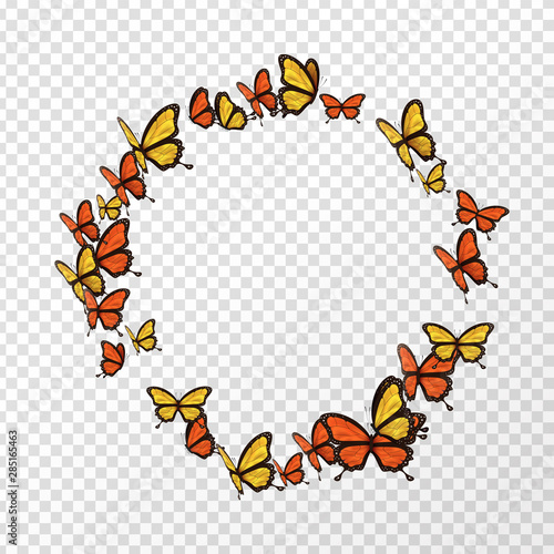 Photography Isolated monarch butterfly copyspace circle shape