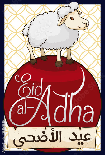 Sheep over Greeting Button and Scroll for Eid al-Adha, Vector Illustration