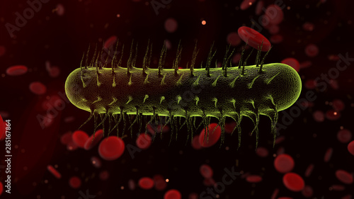 Bacteria and Bacterium cell science healthcare render - 3D render photo