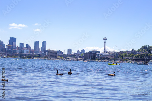 A view of Downtown Seattle from Gasworks park.