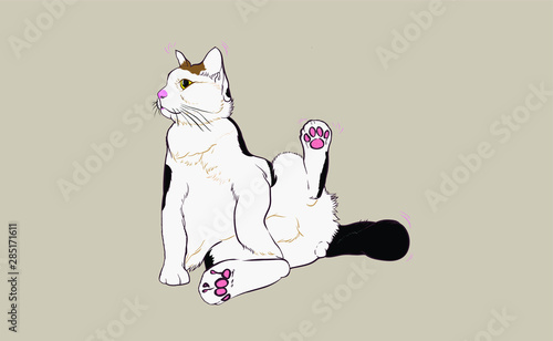 Cats sit on the floor with colour  background, cute long-haired big eyes. Sitting looking at something. Looks very relaxed. vector art for designer, graphics design, printing, advertising.