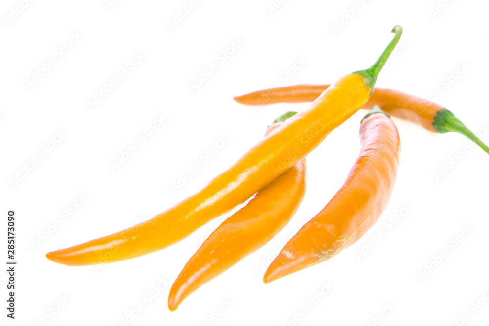 Naklejka premium chilli isolated on white background