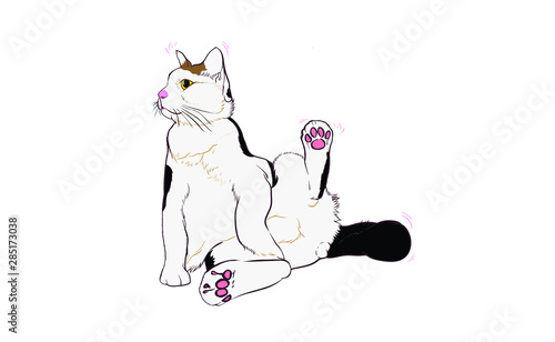 Cats sit on the floor with white background, cute long-haired big eyes. Sitting looking at something. Looks very relaxed. vector art for designer, graphics design, printing, advertising.