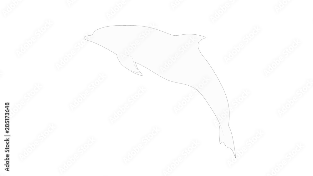 Dolphines 3d rendering isolated in white studio background