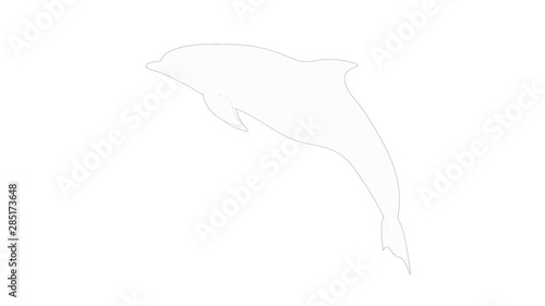 Dolphines 3d rendering isolated in white studio background