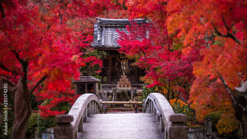 京都府 永観堂 紅葉