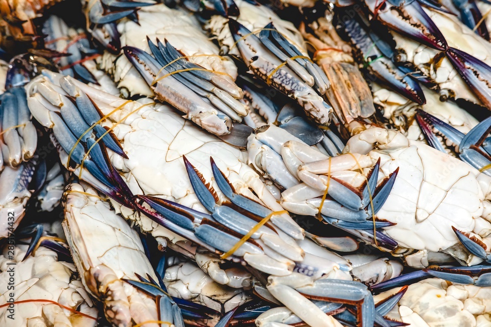 Fresh Blue Swimming Crab (Portunus armatus) in the market.