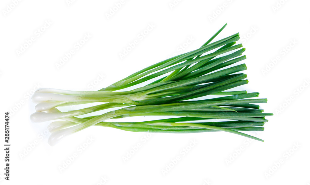 fresh onion tree fresh onion tree