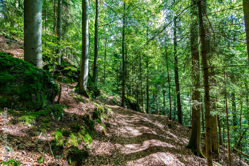 Thüringer Wald Gießübel Rennsteig