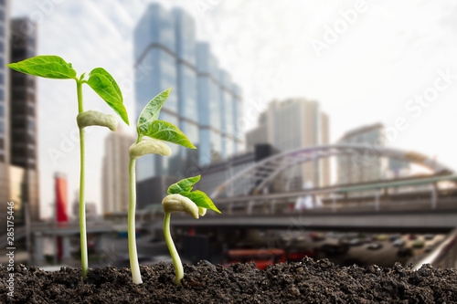 Green sprouts on blurred city background, environmental concept photo