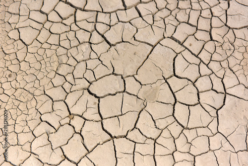 A dry cracked ground