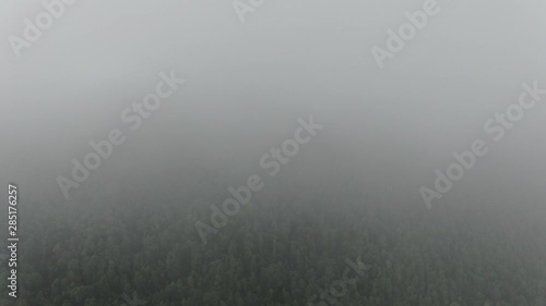 smooth dolly backwards of mountain covered in pine trees through fog photo