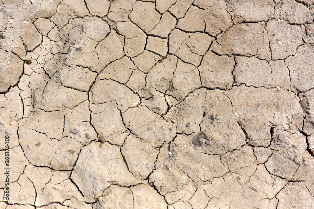 Fototapeta premium A dry cracked ground