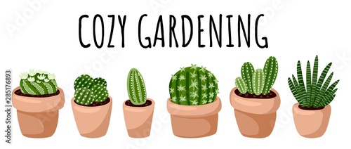 Cozy gardening banner. Set of hygge potted succulent and cactus plants. Cozy lagom scandinavian style collection of plants