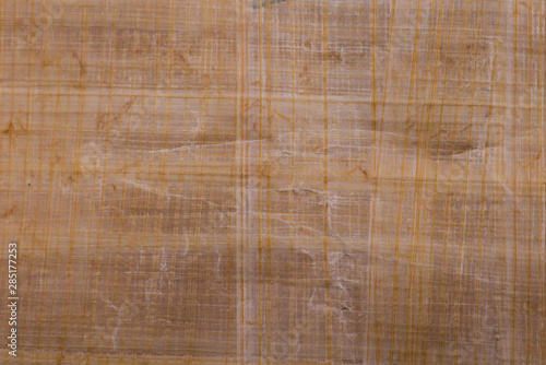 papyrus texture. papyrus closeup. pure papyrus