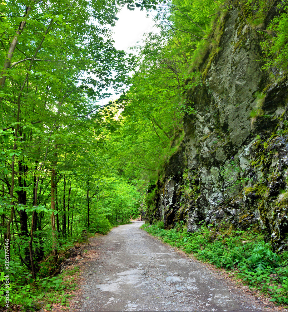 Fototapeta premium Lotrisor canyon - Romania