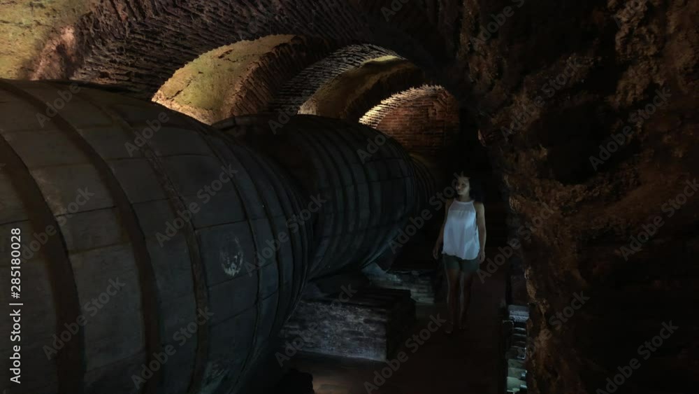 Woman visiting a classic cellar Woman visiting a classic cellar