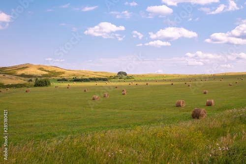 View of a field with sheaves on a background of mountains. Rural landscape.