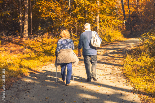 Two old people walking in the autumn forest