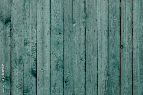  wooden background. Natural wood texture surface for banner background. Pistachio color,hygge concept,copy space.