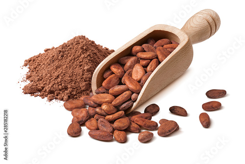 Raw cocoa beans in wooden scoop and powder isolated on white background
