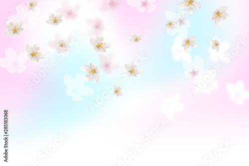 桜と空（ピンクのソフトなイメージ）
