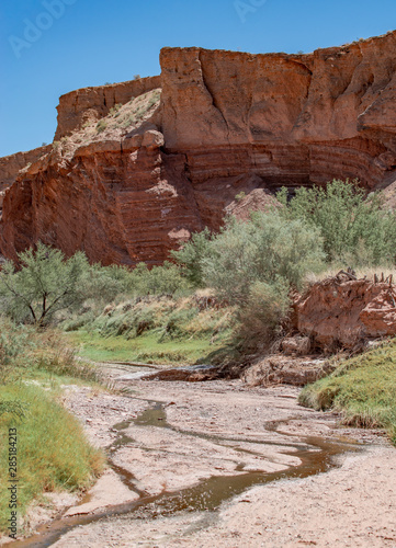 Slika na platnu USA, Nevada, Clark County, Gold Butte National Monument