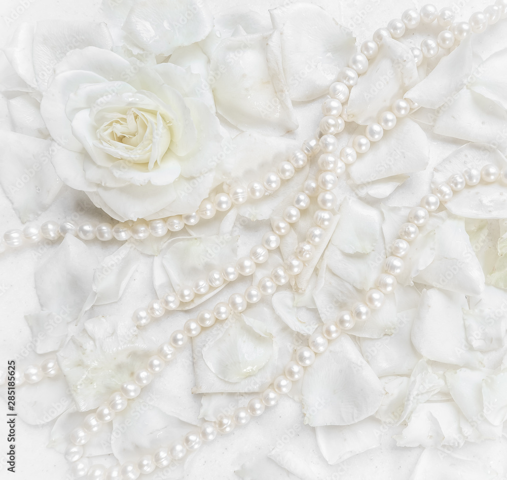 Beautiful white rose with petals and pearl necklace on white background. Ideal for greeting cards for wedding, birthday, Valentine's Day, Mother's Day