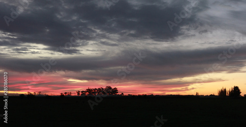 panoramic wide view of a colorful cloudy sunset in rural farmland with trees silhouetted against the orange sky. rural Victoria  Australia
