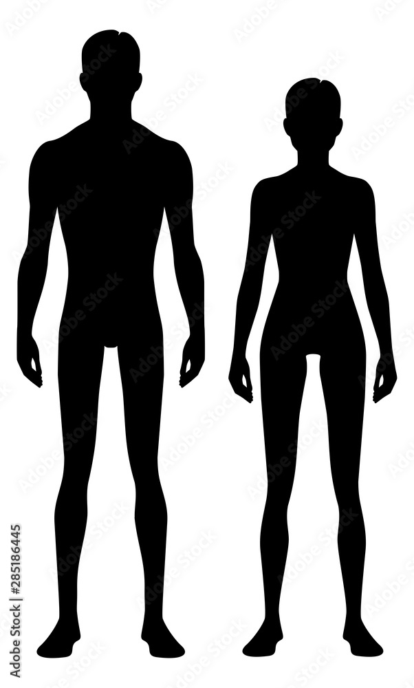 Male and female body silhouette. Isolated perfect image symbols man fnd woman on white background. Vector illustration. Male and female body silhouette. Isolated perfect image symbols man fnd woman on white background. Vector illustration.