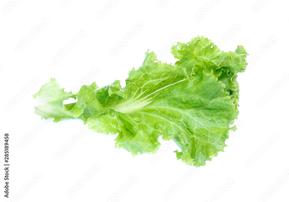 Lettuce isolated on white background Lettuce isolated on white background