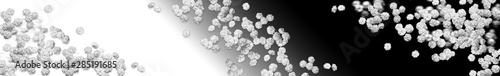 scattered flowers, many small white flowers scattered on a black and white gradient background. Panoramic image. Horizontal banner
