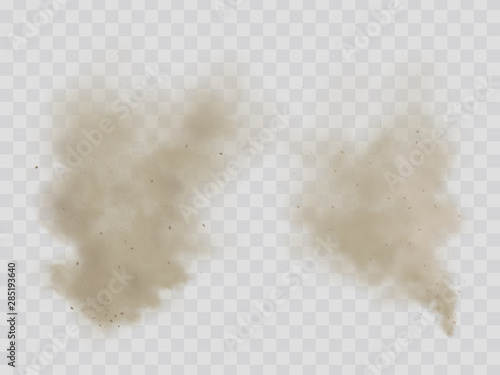 Cloud of dust, cigarette smoke, smog with dirt, soil or sand microscopic particles realistic vector isolated on transparent background. House cleaning, air pollution, allergy concept design element