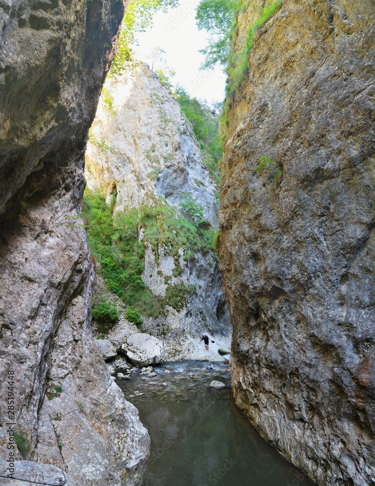 Ramet canyon from the Apuseni mountains - Romania