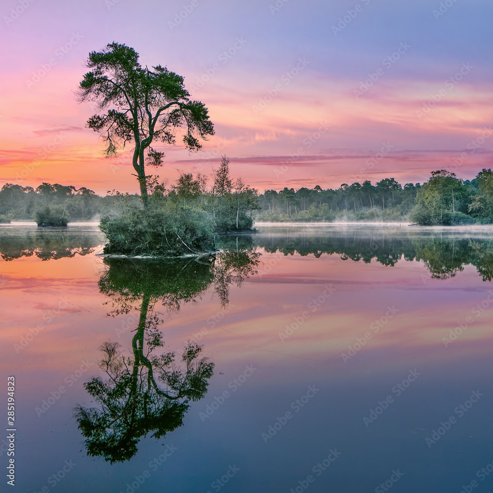 Obraz premium Sunrise reflected in a lake in a forest in the South of The Netherlands